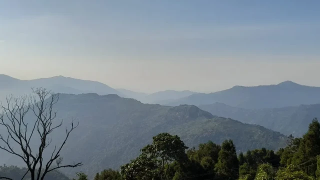 Homestay in Tinchuley Hills, Darjeeling