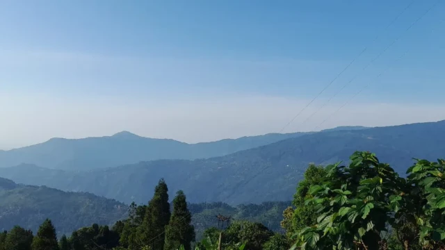 Homestay in Tinchuley Hills, Darjeeling