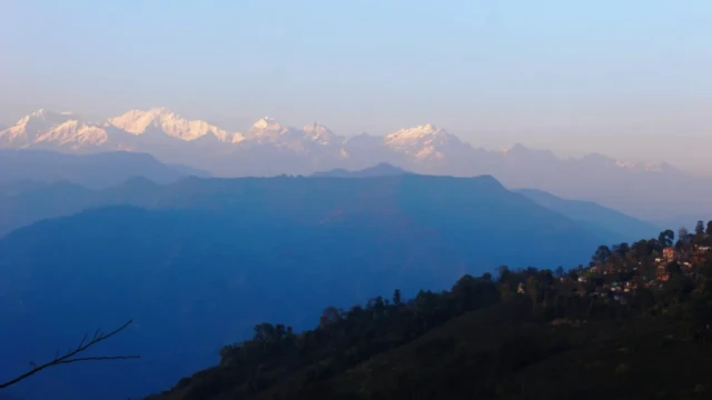 Homestay in Tukvar Tea Estate