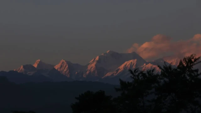 Homestay in Tukvar Tea Estate